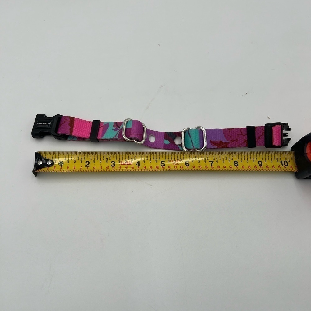 Pawsitive Pink and Purple Blue Adjustable Dog Collar NWOT